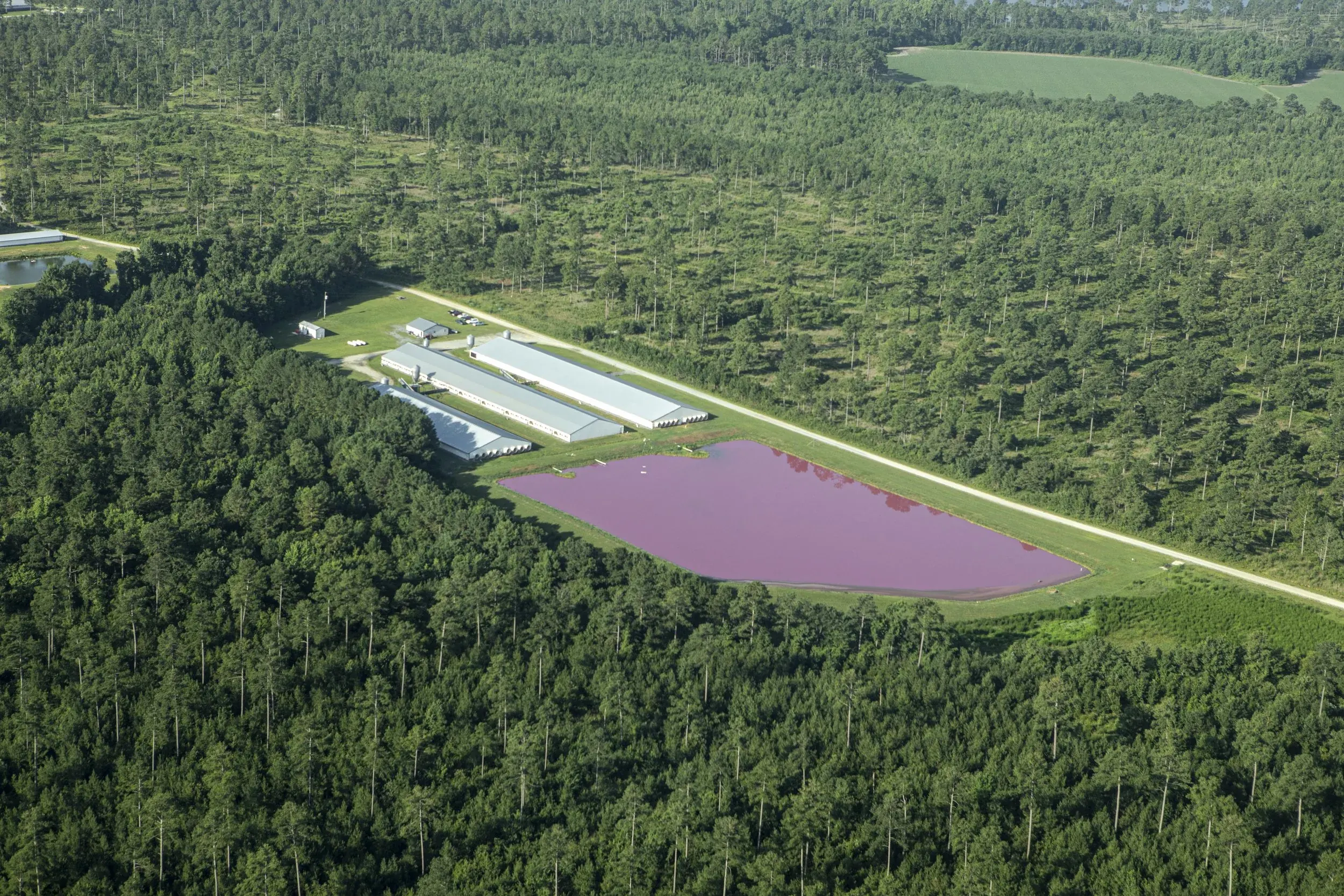 Aerial view of a North Carolina swine operation with an anaerobic treatment lagoon