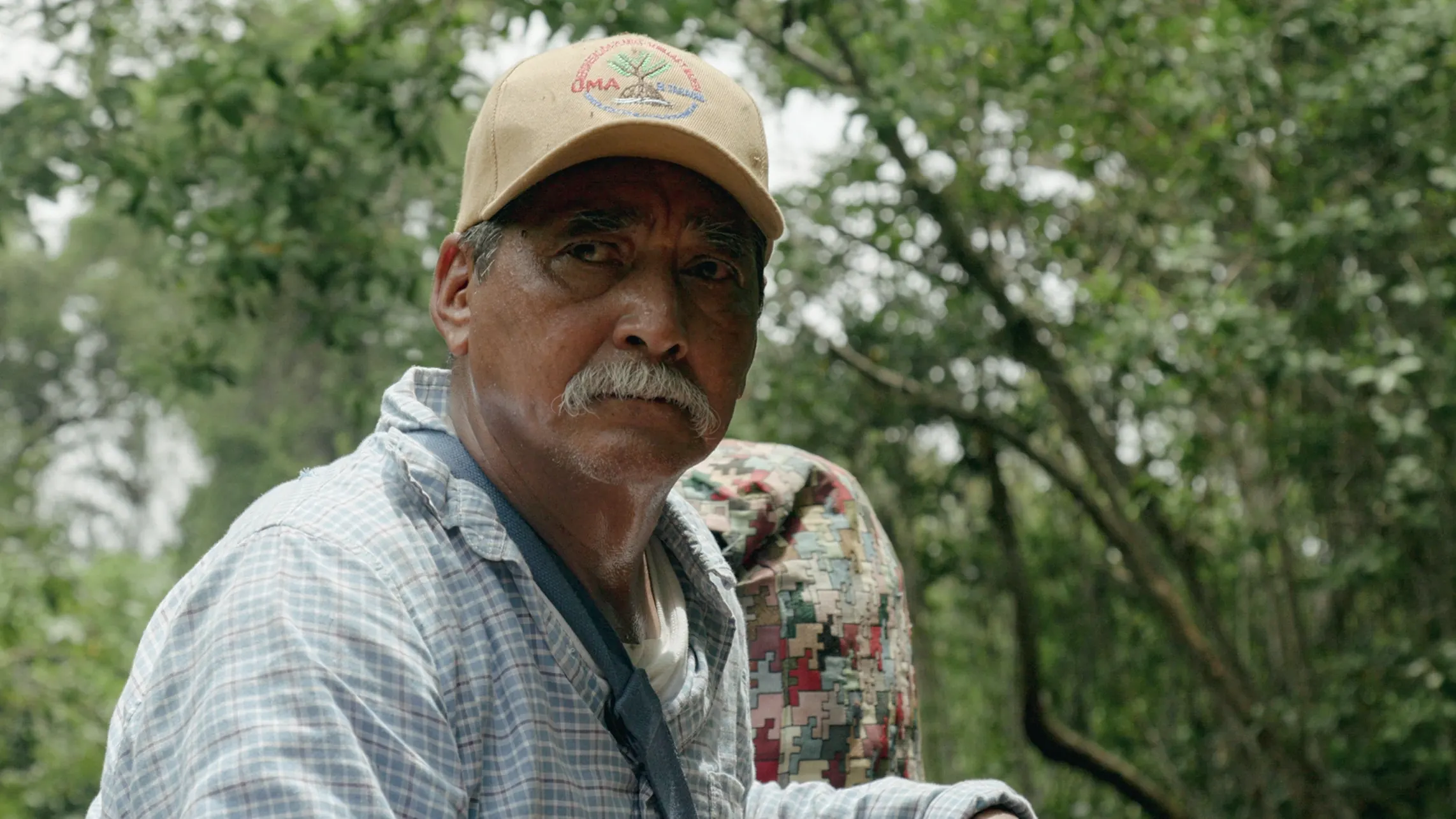Field witness — local knowledge inside the operating system