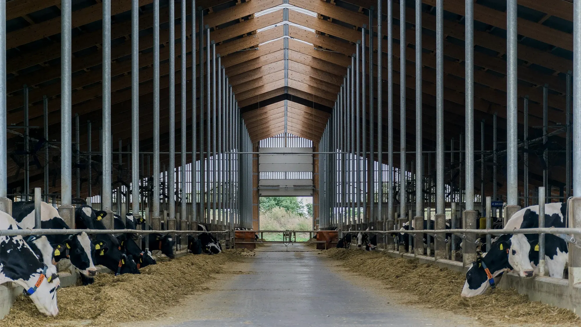 Farm Power field context 1