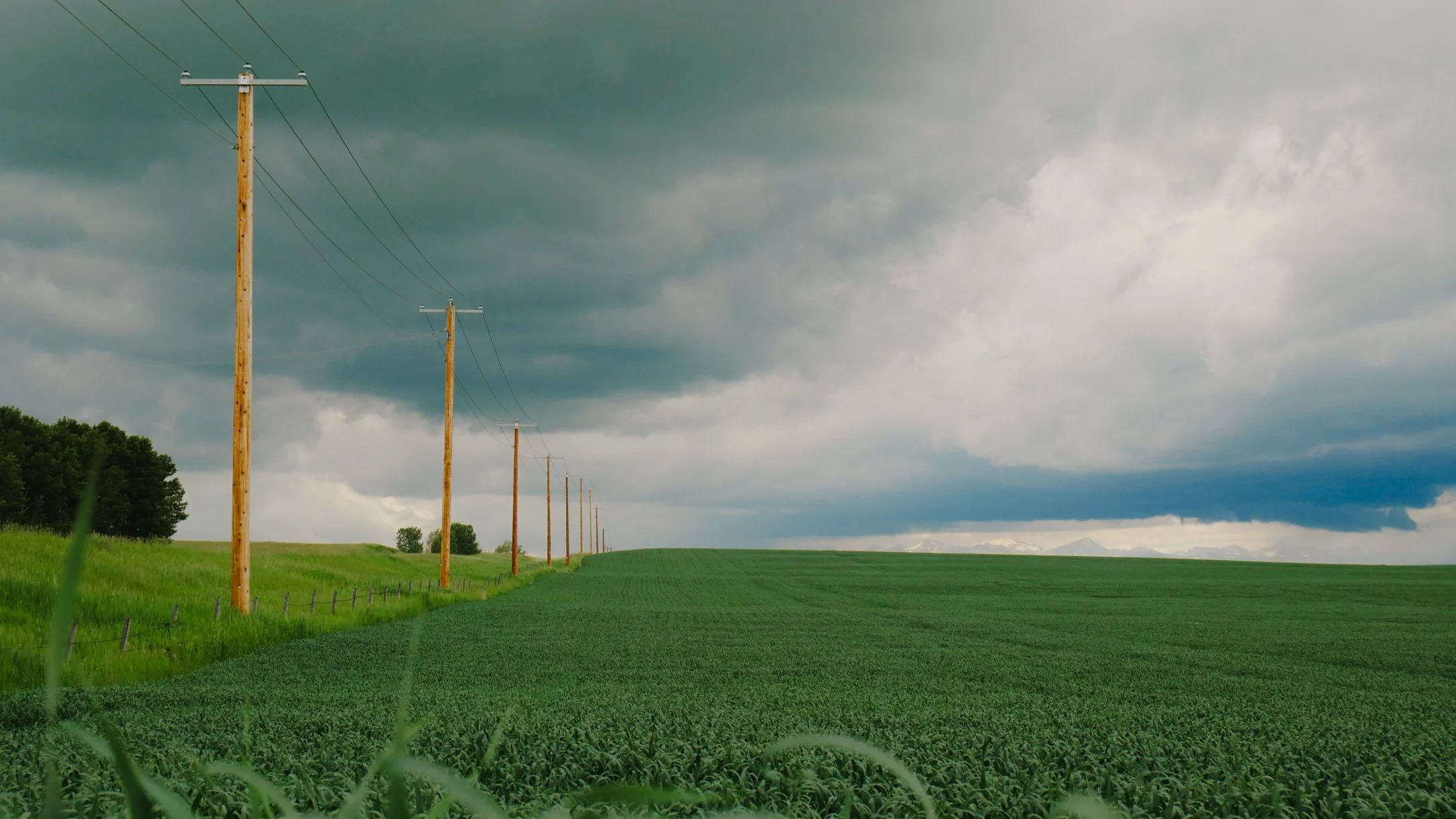 Distributed infrastructure operating close to demand, without long-distance transmission